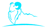 к޹˾